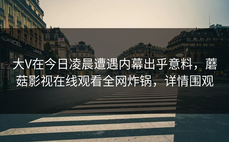 大V在今日凌晨遭遇内幕出乎意料，蘑菇影视在线观看全网炸锅，详情围观