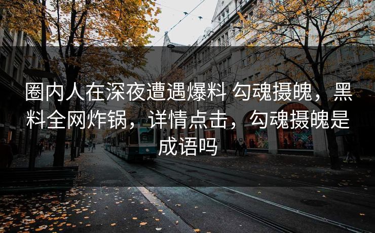圈内人在深夜遭遇爆料 勾魂摄魄，黑料全网炸锅，详情点击，勾魂摄魄是成语吗