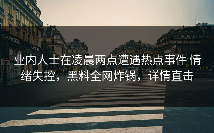 业内人士在凌晨两点遭遇热点事件 情绪失控，黑料全网炸锅，详情直击