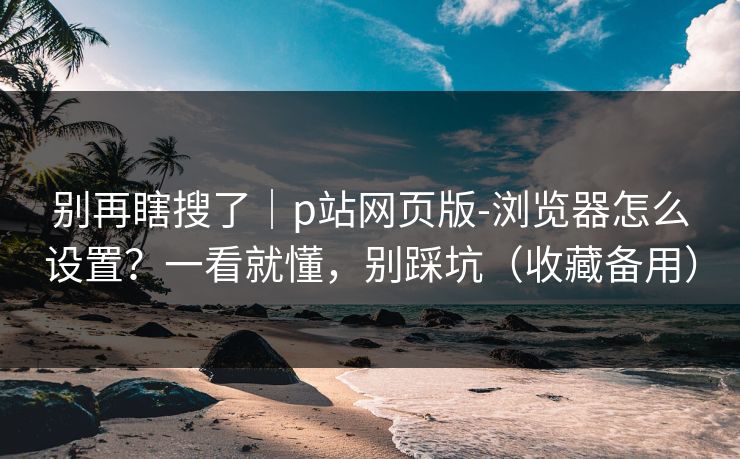 别再瞎搜了｜p站网页版-浏览器怎么设置？一看就懂，别踩坑（收藏备用）