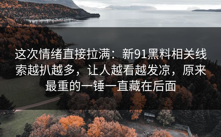 这次情绪直接拉满：新91黑料相关线索越扒越多，让人越看越发凉，原来最重的一锤一直藏在后面